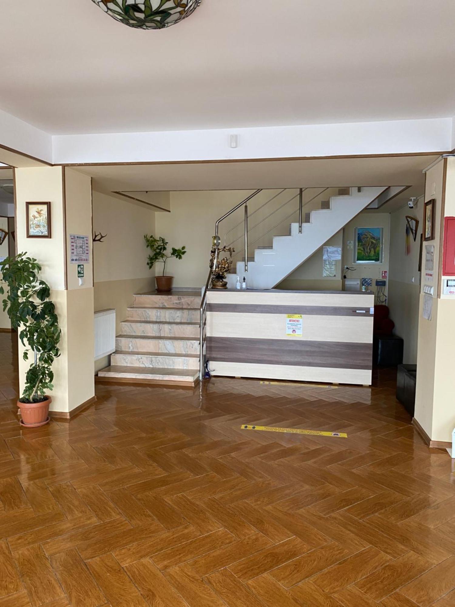 Pensiunea Zimbru Ranca Exterior foto